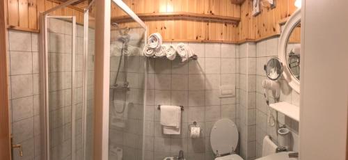 摩德纳迪-坎皮格里奥Residenza Grazia的带淋浴、卫生间和盥洗盆的浴室