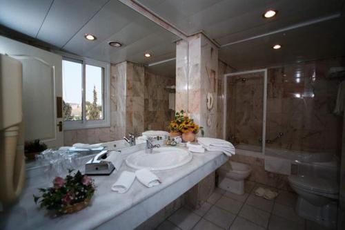 耶路撒冷阿达酒店的一间带水槽、卫生间和镜子的浴室