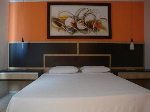帕尔马斯Hotel Estrela Palmas的一间卧室,上方有一张画作