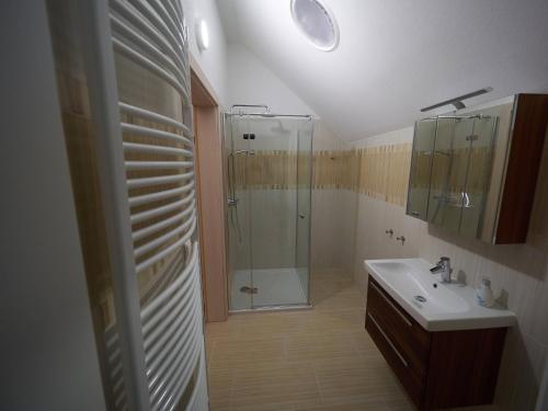 杜伦斯坦Bioweingut Schmidl的带淋浴和盥洗盆的浴室