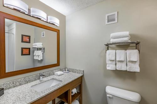 Comfort Inn Altoona-Des Moines的一间浴室