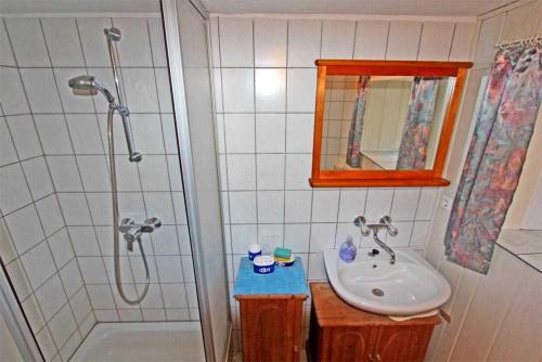 马尔肖Ferienwohnung Malchow SEE 8241的带淋浴和盥洗盆的浴室