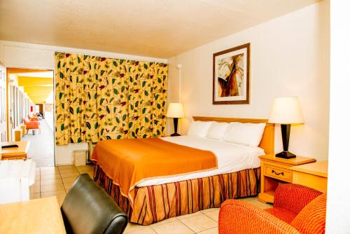 莱克兰Lakeview Motel的酒店客房,配有床和沙发
