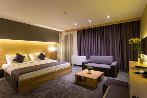 里尔斯基马纳斯特Rilets Resort & Spa的配有一张床和一把椅子的酒店客房
