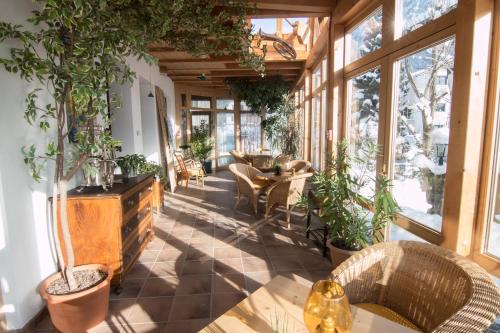 埃尔瓦尔德Mellow Mountain Hostel的温室里种植了植物,配有桌椅