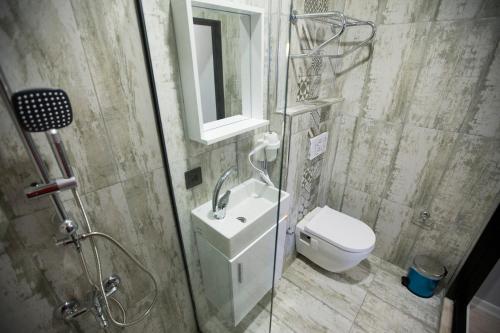 安卡拉Double Bond Hotel Spa的浴室配有卫生间、盥洗盆和淋浴。