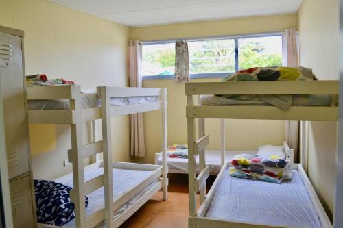 阿波罗湾阿波罗湾青年旅舍的客房设有三张双层床和一扇窗户。