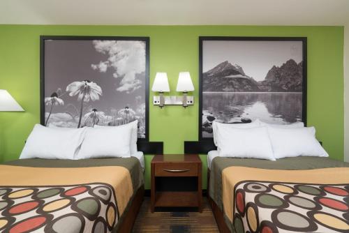 罗切斯特罗切斯特梅奥诊所区速8酒店的绿墙客房内的两张床