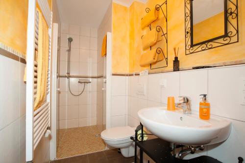 施塔特阿伦多夫什兰史丹特乡村别墅酒店的一间带水槽、卫生间和淋浴的浴室
