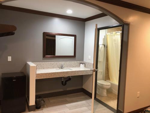 South El Monte南艾尔蒙特星光汽车旅馆的一间带水槽、卫生间和镜子的浴室