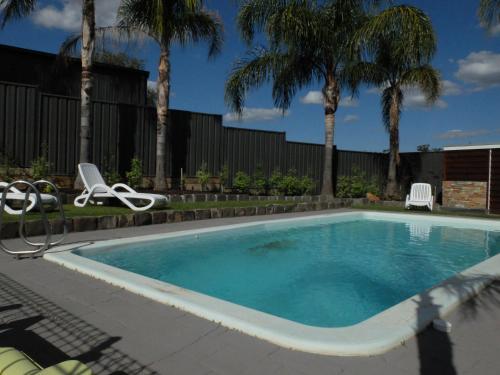 Barooga博古拉河畔汽车旅馆的一个带两把草坪椅和棕榈树的游泳池