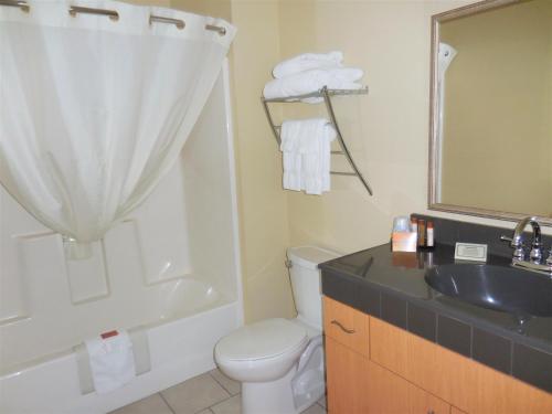 基奈阿斯彭套房公寓式酒店的一间浴室