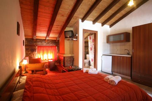 帕雷斯阿吉萨那Eleni's Guesthouse的一间带红色大床的卧室和一间厨房