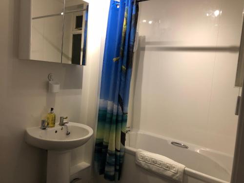 利文-法夫Wellesley Apartment的白色的浴室设有水槽和淋浴。