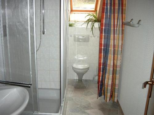 希尔兴巴赫Ferienwohnung Bäumener的带淋浴、卫生间和盥洗盆的浴室
