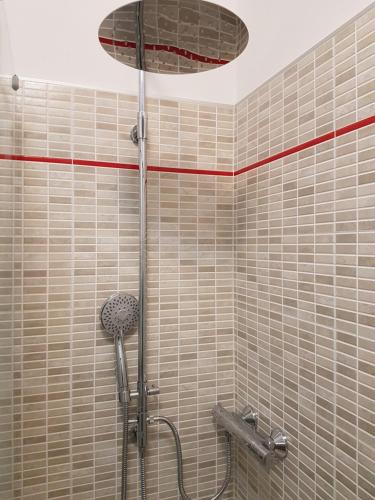巴多利诺Atlantic的浴室内配有淋浴和头顶淋浴