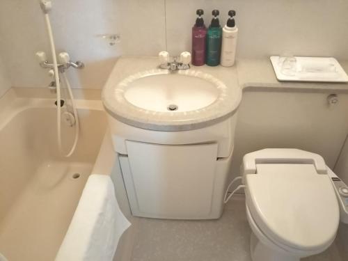 Namerikawa滑川天空酒店 的白色的浴室设有水槽和卫生间。