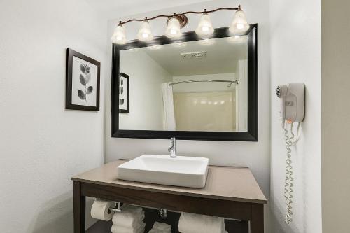 阿施瓦贝农Country Inn & Suites by Radisson, Green Bay, WI的一间带水槽和镜子的浴室