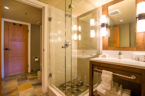惠斯勒Sundial Hotel的带淋浴和盥洗盆的浴室