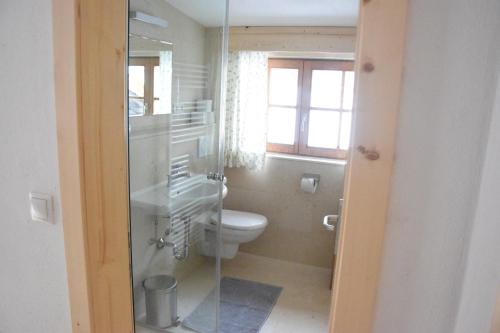 尼德泰Haus Christian的一间带卫生间和玻璃淋浴间的浴室