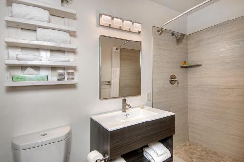 圣克鲁兹帕赛地阳坡旅馆的一间带水槽、卫生间和镜子的浴室