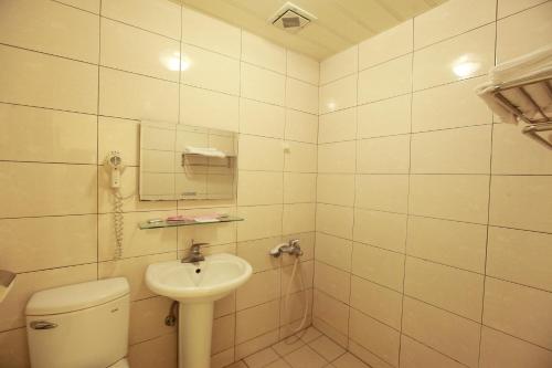 花莲市花莲永祺饭店 的一间带卫生间和水槽的浴室