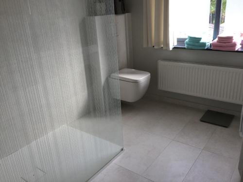 GenoelselderenBelle Vue Vakantieappartement的白色的浴室设有卫生间和窗户。