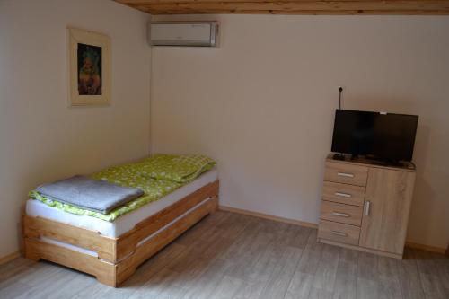 卢斯Apartma & savna Slapnik的一间带床和电视的小卧室