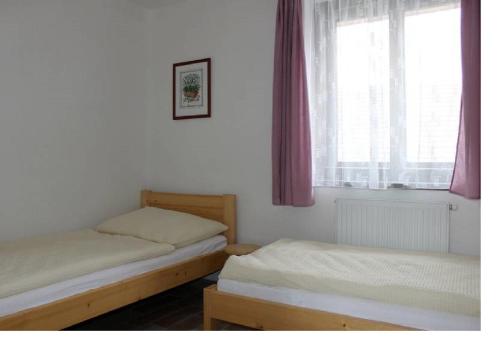 LasenitzChalupa U Lávky的带窗户的客房内设有两张单人床。