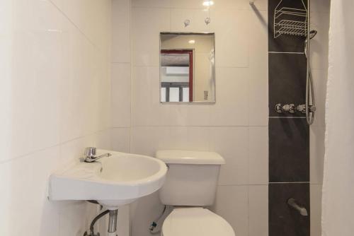 圣多明各La Puerta Roja Guest House的一间带卫生间、水槽和镜子的浴室