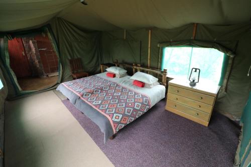 AlldaysKaoxa Bush Camp的帐篷内的卧室,配有一张床和梳妆台