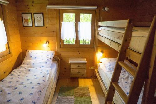 StamsriedBlockhaus Bayerischer Wald的小房间设有两张双层床和窗户