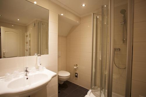巴特多布兰多布哈纳霍夫酒店的一间带水槽、淋浴和卫生间的浴室