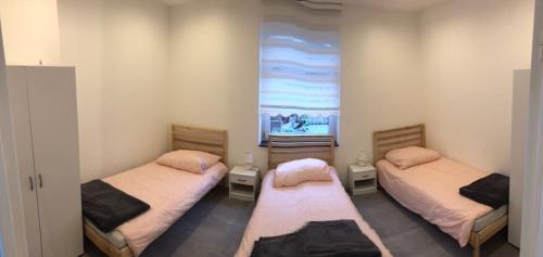 埃森Adel的客房设有两张单人床和一扇窗户。
