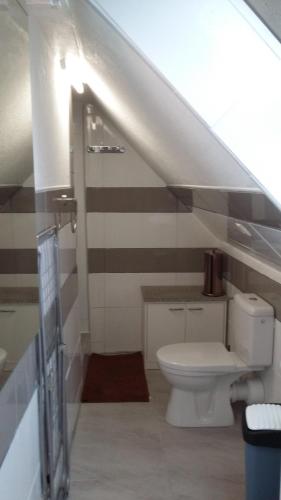 GarzZum Buddje的楼梯下的浴室设有卫生间