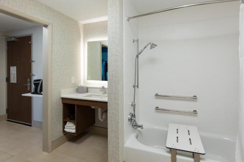 维塞利亚Holiday Inn Express Visalia-Sequoia Gateway Area, an IHG Hotel的带浴缸和盥洗盆的浴室