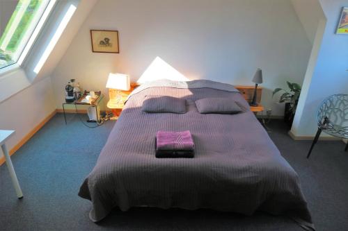 斯特拉斯堡Suite Place de l'Etoile的一间卧室配有一张大床和紫色毯子