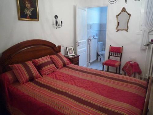 图尔尼TOURNUS Belle maison vue sur Saône的一间卧室配有一张带红色毯子的大床