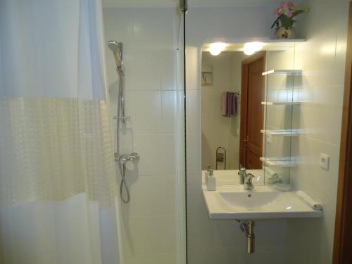 卡尔维appartement的带淋浴和盥洗盆的浴室