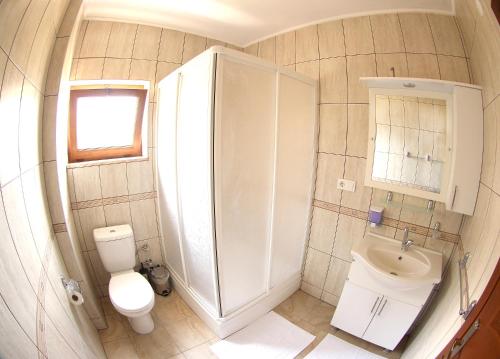 博兹布伦阳台酒店的一间带卫生间和水槽的浴室