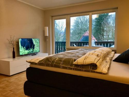 布劳恩拉格Ferienwohnung Gipfelnest的一间卧室配有一张床和一台平面电视