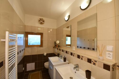 Valaská玉萨尔凯公寓酒店的一间带水槽、卫生间和镜子的浴室