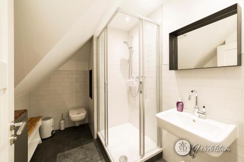 莱比锡Villa Dohna - Apartment Wedelstam的带淋浴、盥洗盆和卫生间的浴室