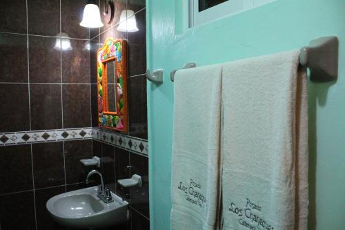 卡特马科Posada Los Chaneques Catemaco的浴室配有盥洗盆、镜子和毛巾
