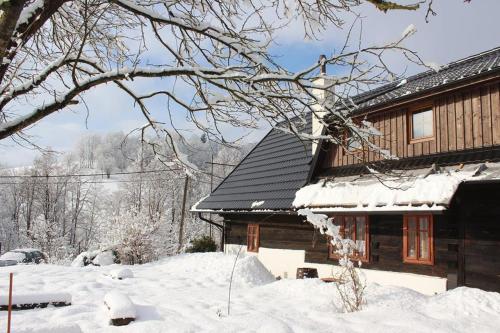 HalenkovChalupa na Valašsku的房子旁边被雪覆盖的房子