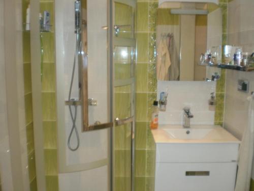 布尔诺AKI - 2 +KK的带淋浴和盥洗盆的浴室