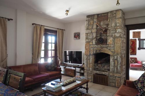 塞利米耶洛卡酒店的带沙发和石制壁炉的客厅