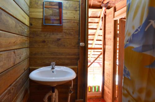 拉斯加勒拉斯Hostel La Ballena Backpacker的一间带水槽和木墙的浴室