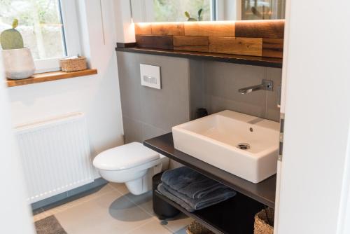 巴特明斯特艾弗尔N8Quartier Eifel的一间带水槽和卫生间的浴室