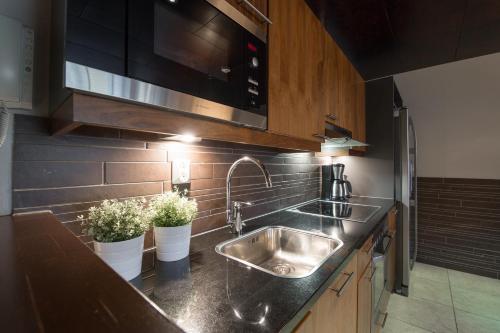 塔库沃里Tahko Spa Suite B3的厨房配有水槽和两株盆栽植物